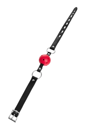 Кляп шарик с отверстиями Anonymo